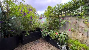 Rear Courtyard- click for photo gallery